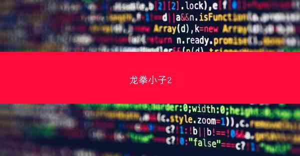 龙拳小子2