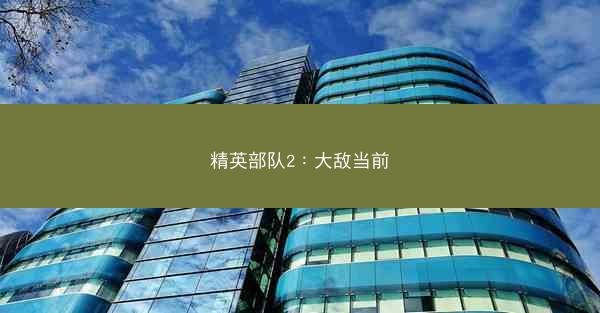 精英部队2：大敌当前