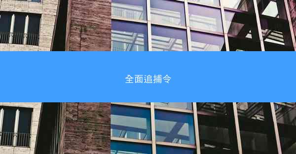 全面追捕令