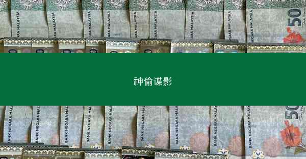 神偷谍影